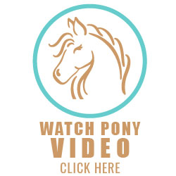 PONY VIDEO