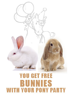 Pony Party with Petting Zoo