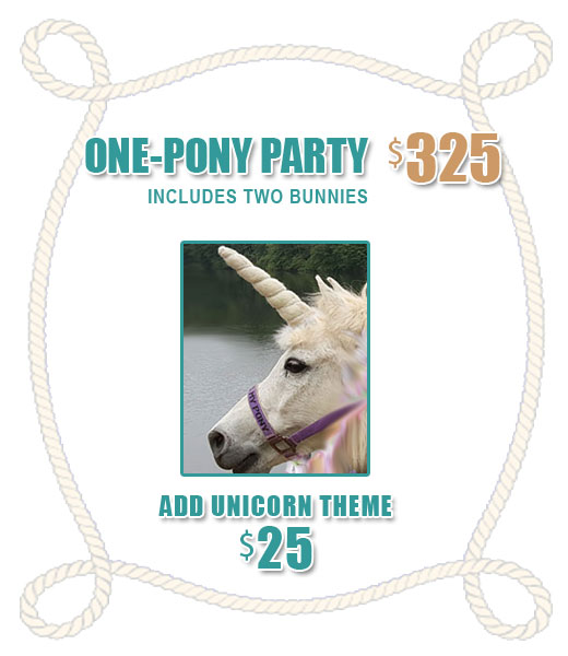 PONY PARTY PRICES