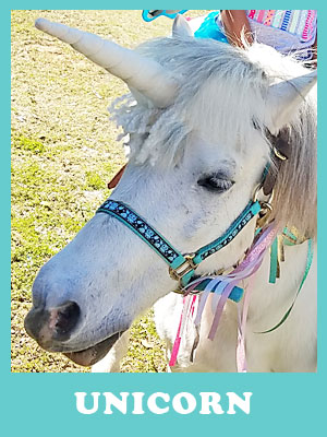 Unicorn